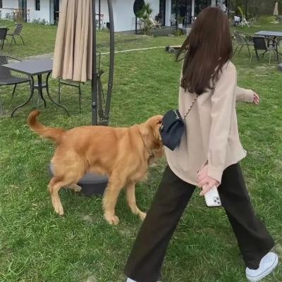 实习医生格蕾第六季